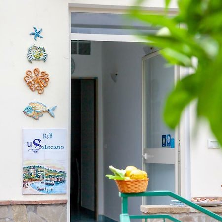 'U Salecaro Bed and Breakfast Agropoli Εξωτερικό φωτογραφία